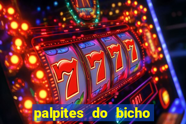 palpites do bicho no celular